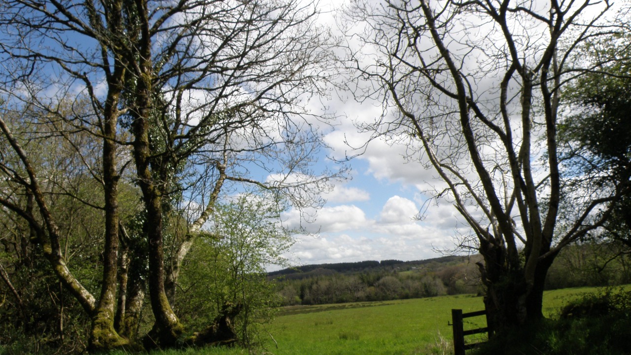 Photo of Outdoor in Beaworthy