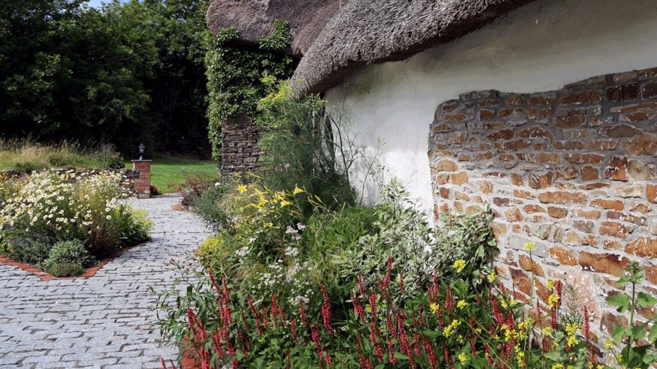 Photo of Outdoor in Beaworthy