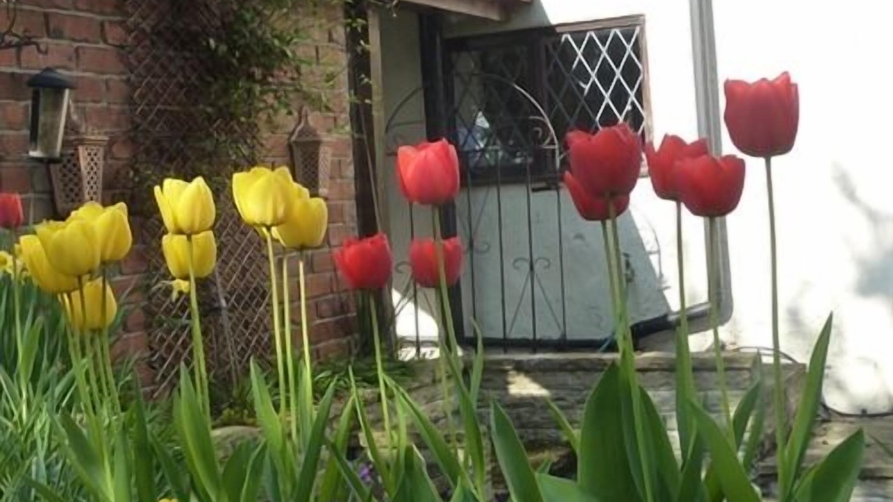 Photo of Outdoor in Chesterfield