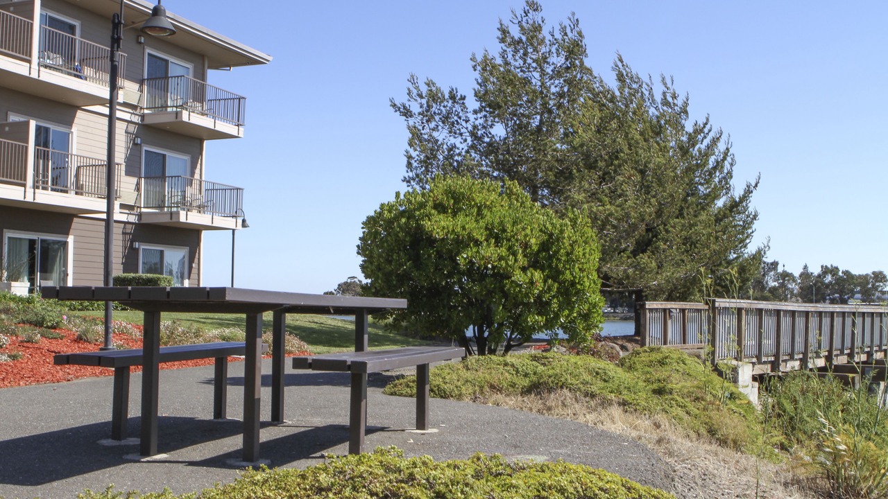 Photo of Outdoor in East Peralta
