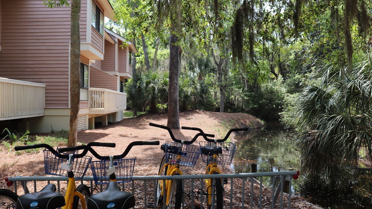 Photo of Outdoor in Shipyard Plantation