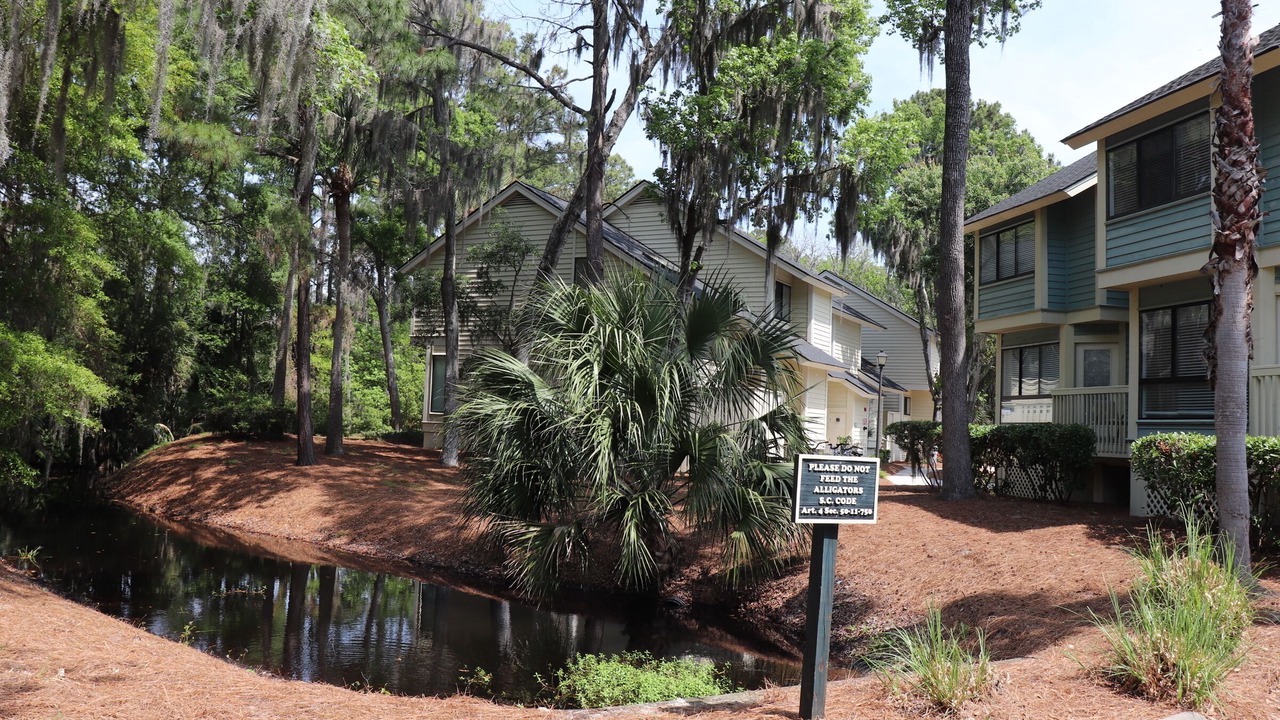 Photo of Outdoor in Shipyard Plantation