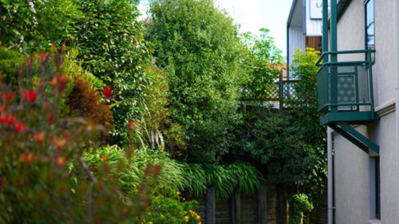 Photo of Outdoor in Hamilton Lake