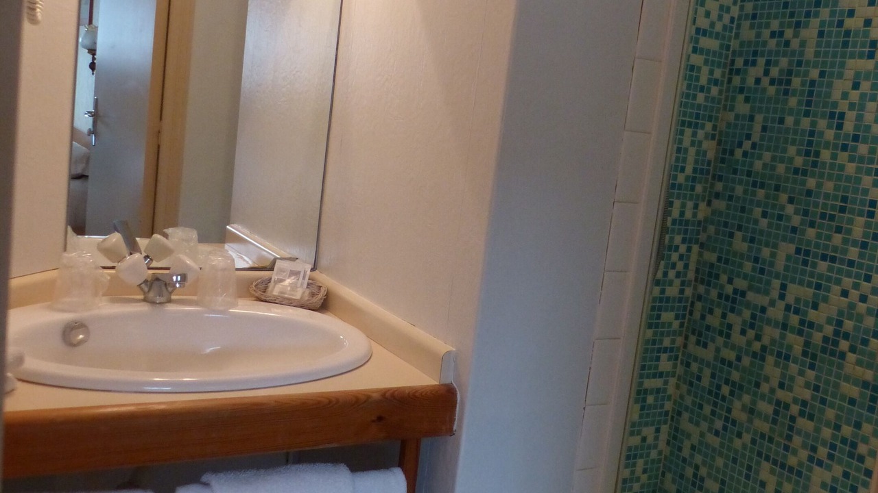 Photo of Bathroom in Chinon
