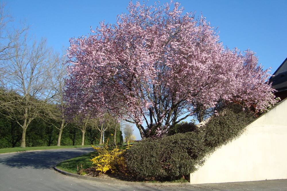 Photo of Outdoor in Louvigne-de-Bais