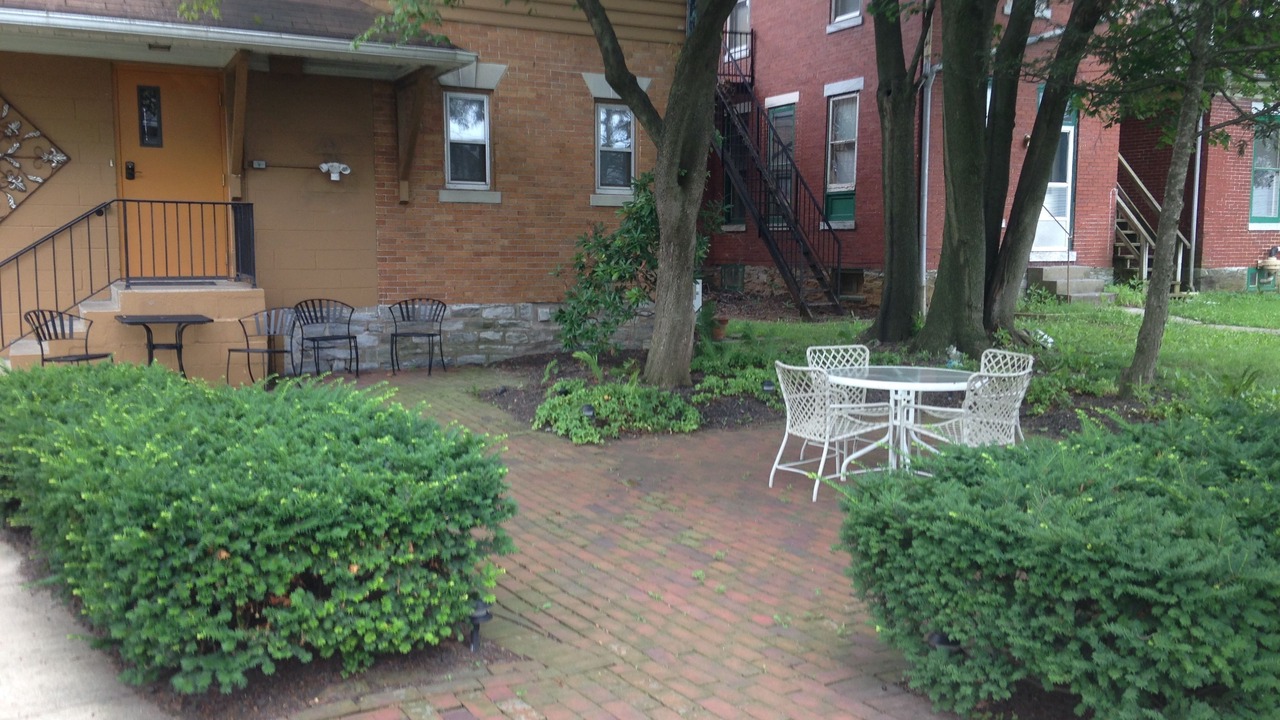 Photo of Others in Palmyra