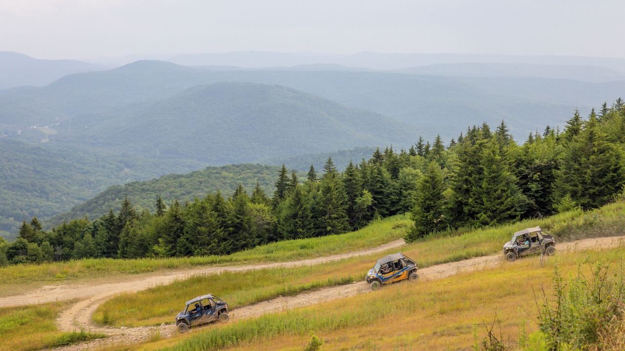 Photo of Others in Snowshoe