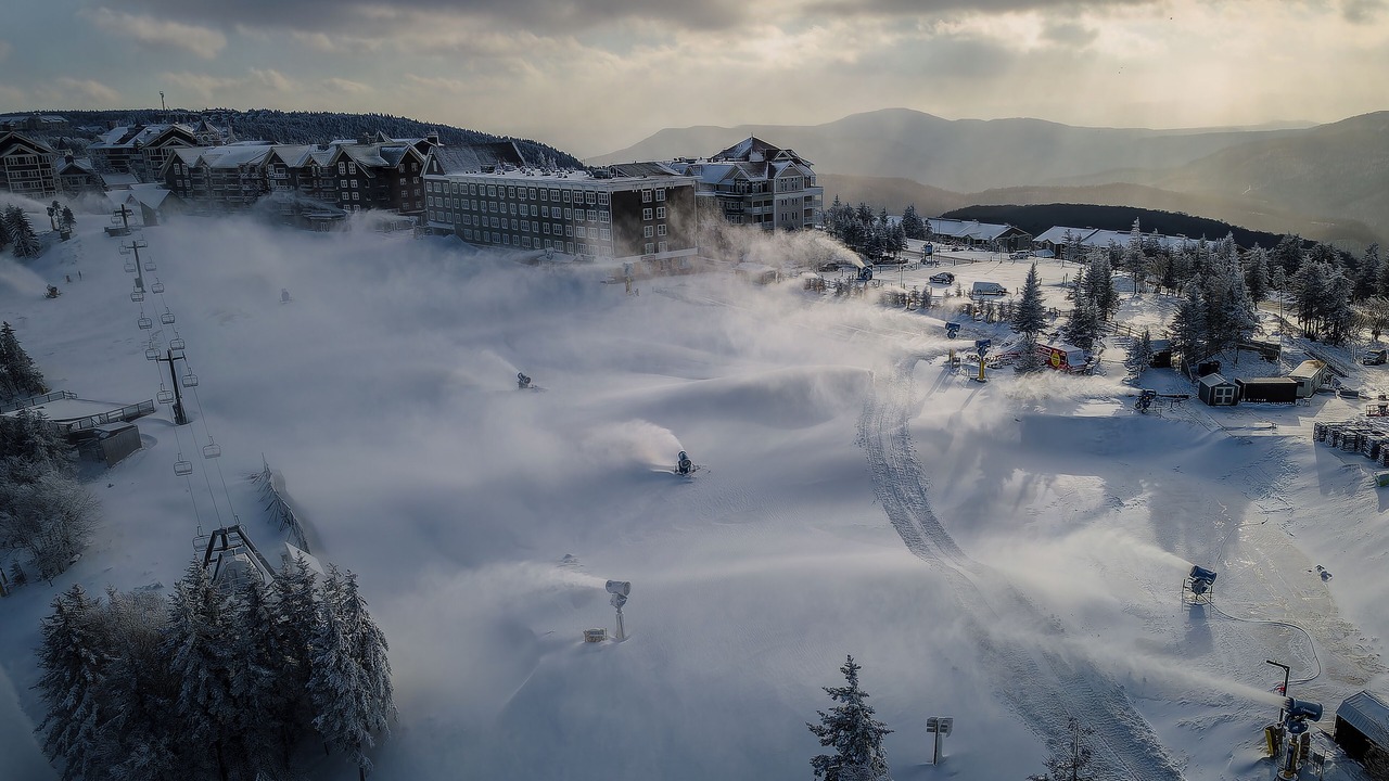 Photo of Outdoor in Snowshoe