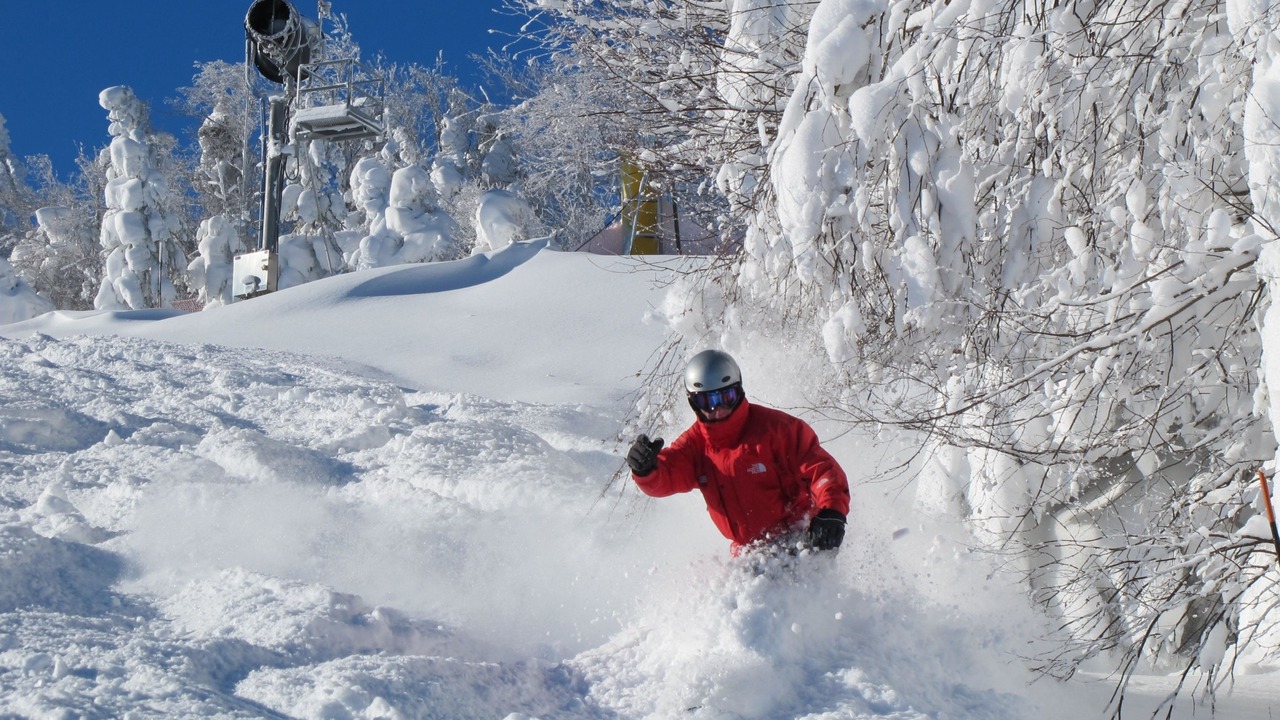 Photo of Others in Snowshoe