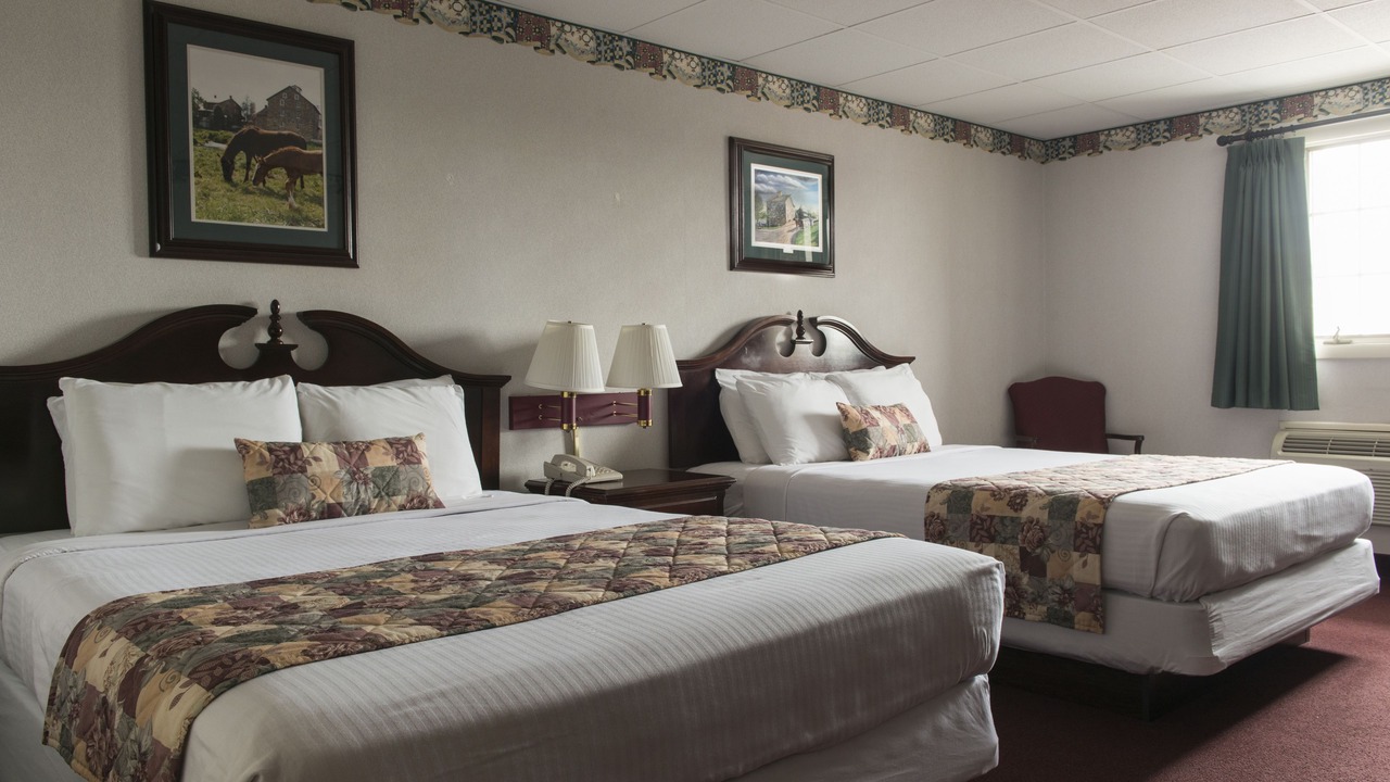 Photo of Outdoor in Bird In Hand