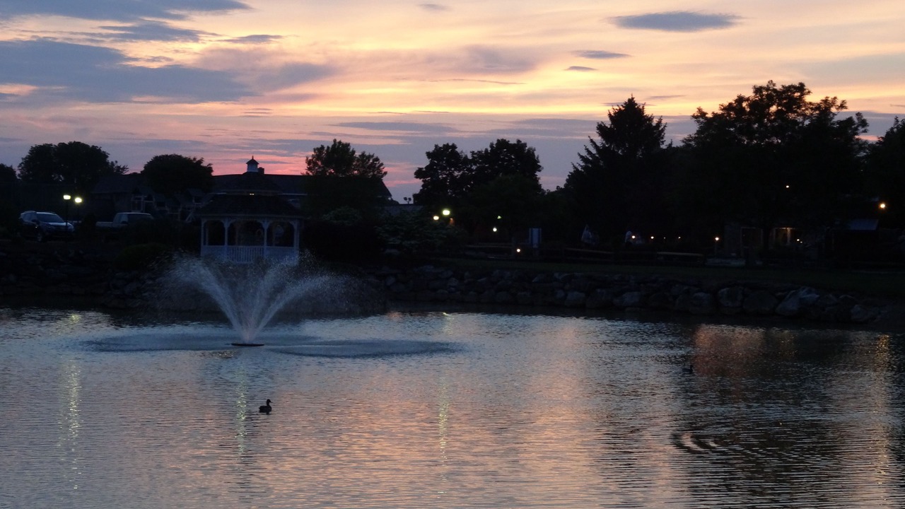 Photo of Outdoor in Bird In Hand
