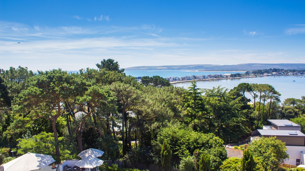 Photo of Others in Sandbanks