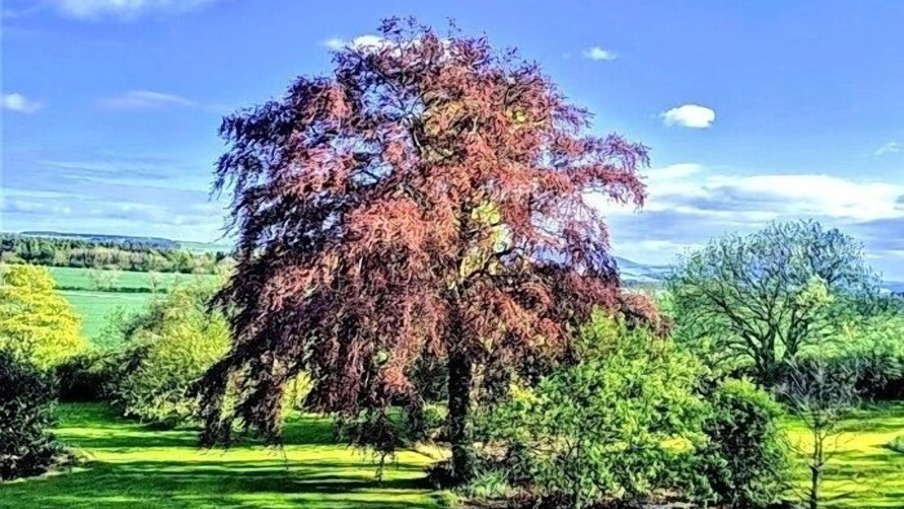 Photo of Others in Berwick-upon-Tweed