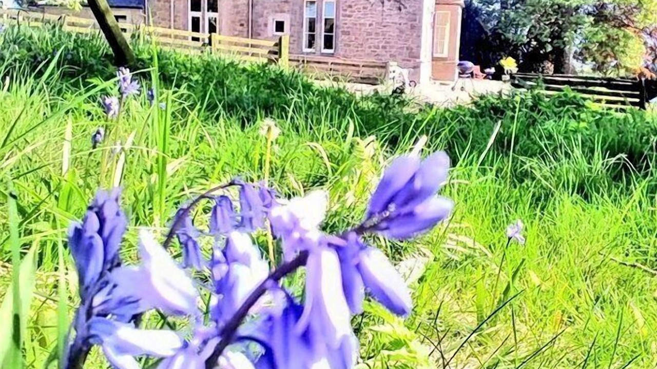 Photo of Outdoor in Berwick-upon-Tweed