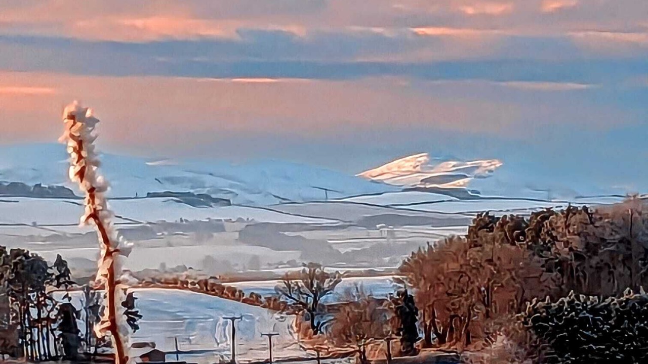 Photo of Others in Berwick-upon-Tweed