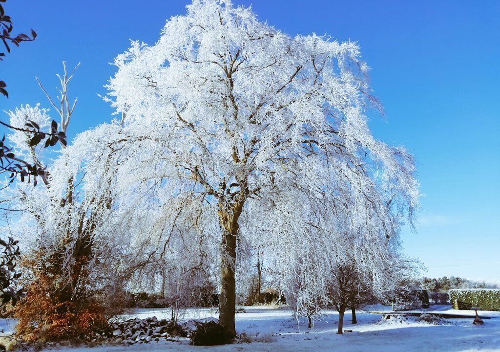 Photo of Outdoor in Berwick-upon-Tweed