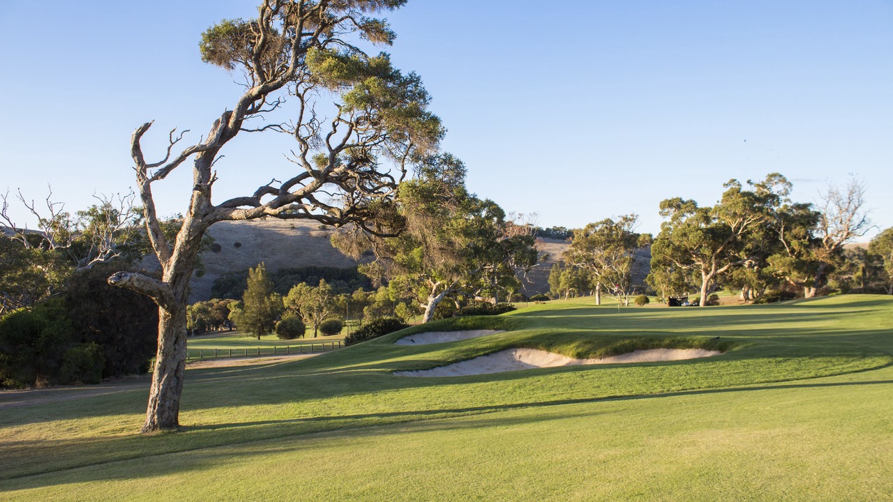 Photo of Others in Wirrina Cove