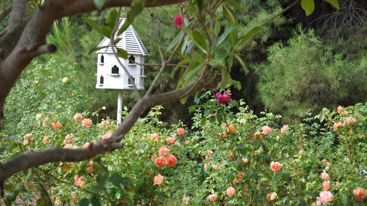 Photo of Outdoor in Lyndoch