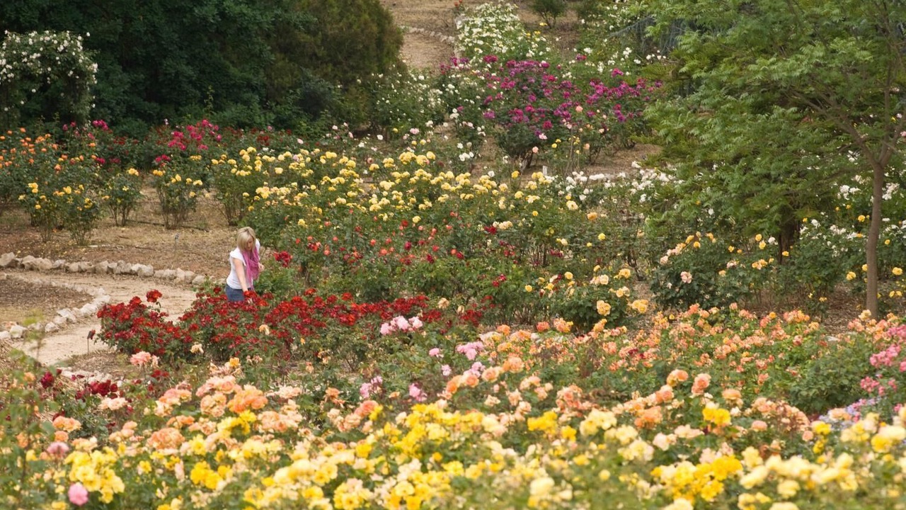 Photo of Outdoor in Lyndoch