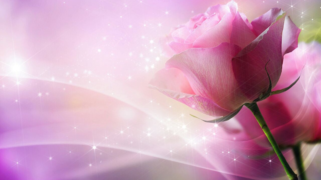 Photo of Others in Pra Loup