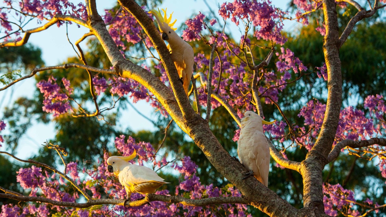 Photo of Outdoor in Eagle Heights