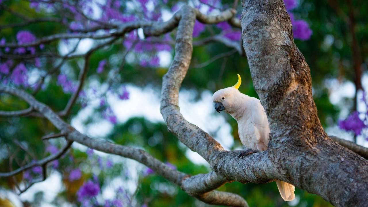 Photo of Outdoor in Eagle Heights