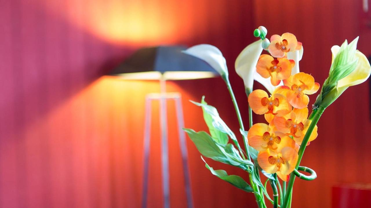 Photo of Others in Sedan