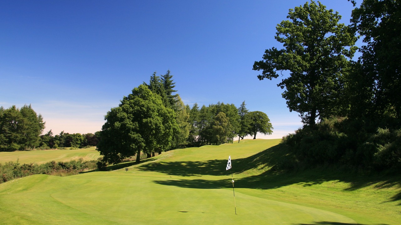 Photo of Others in Scone