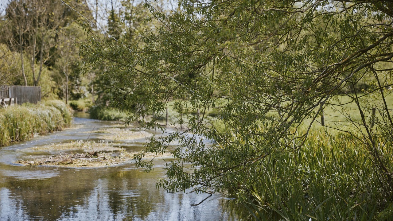 Photo of Others in Corhampton