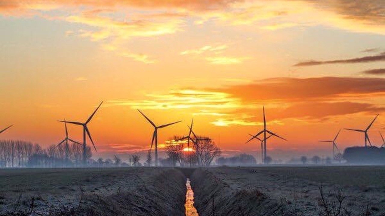 Photo of Others in March