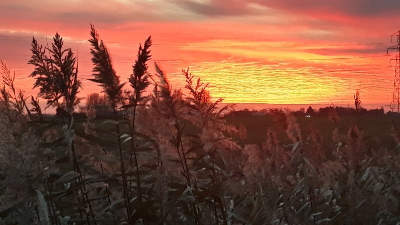 Photo of Outdoor in March