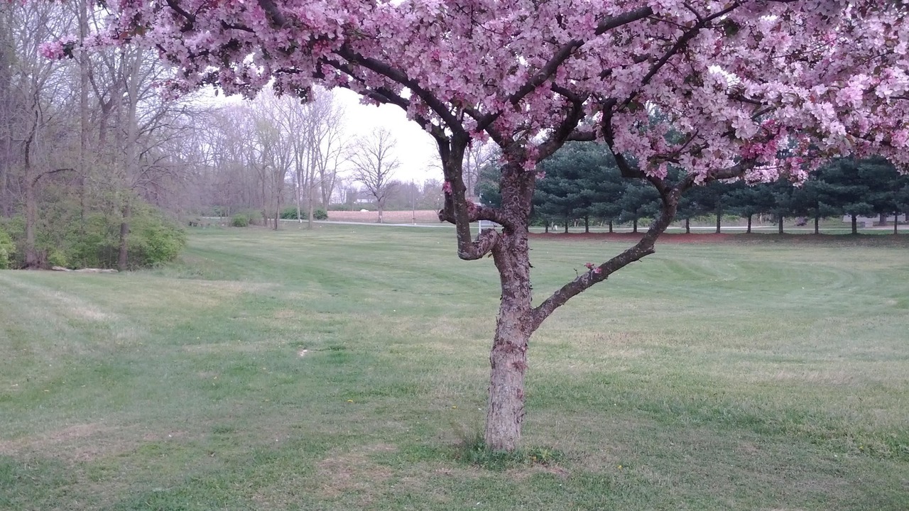 Photo of Outdoor in Syracuse