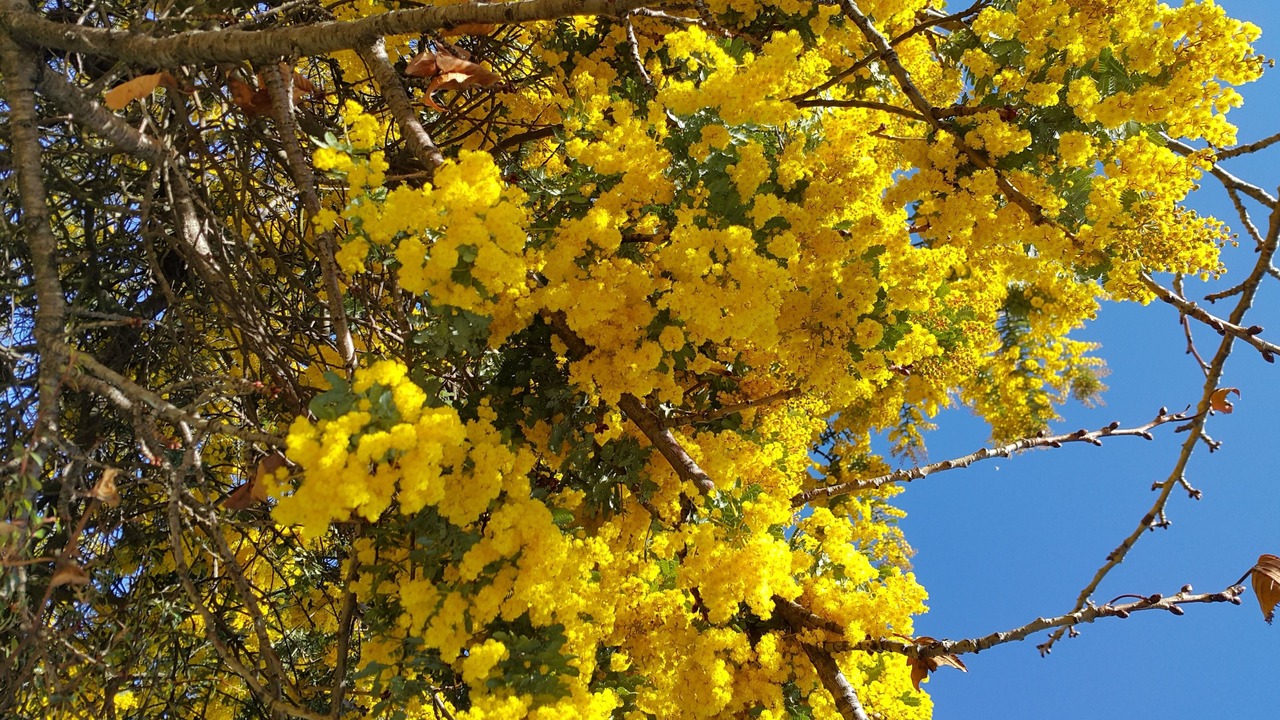 Photo of Outdoor in Rangiora