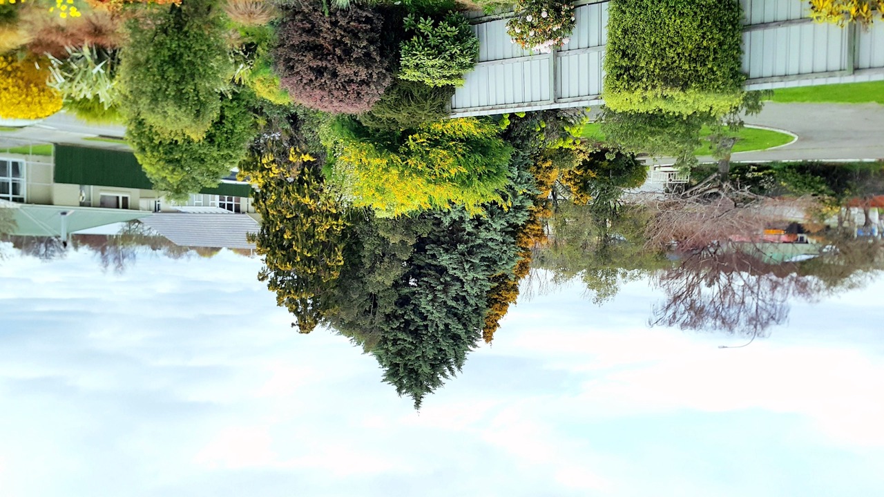 Photo of Outdoor in Rangiora