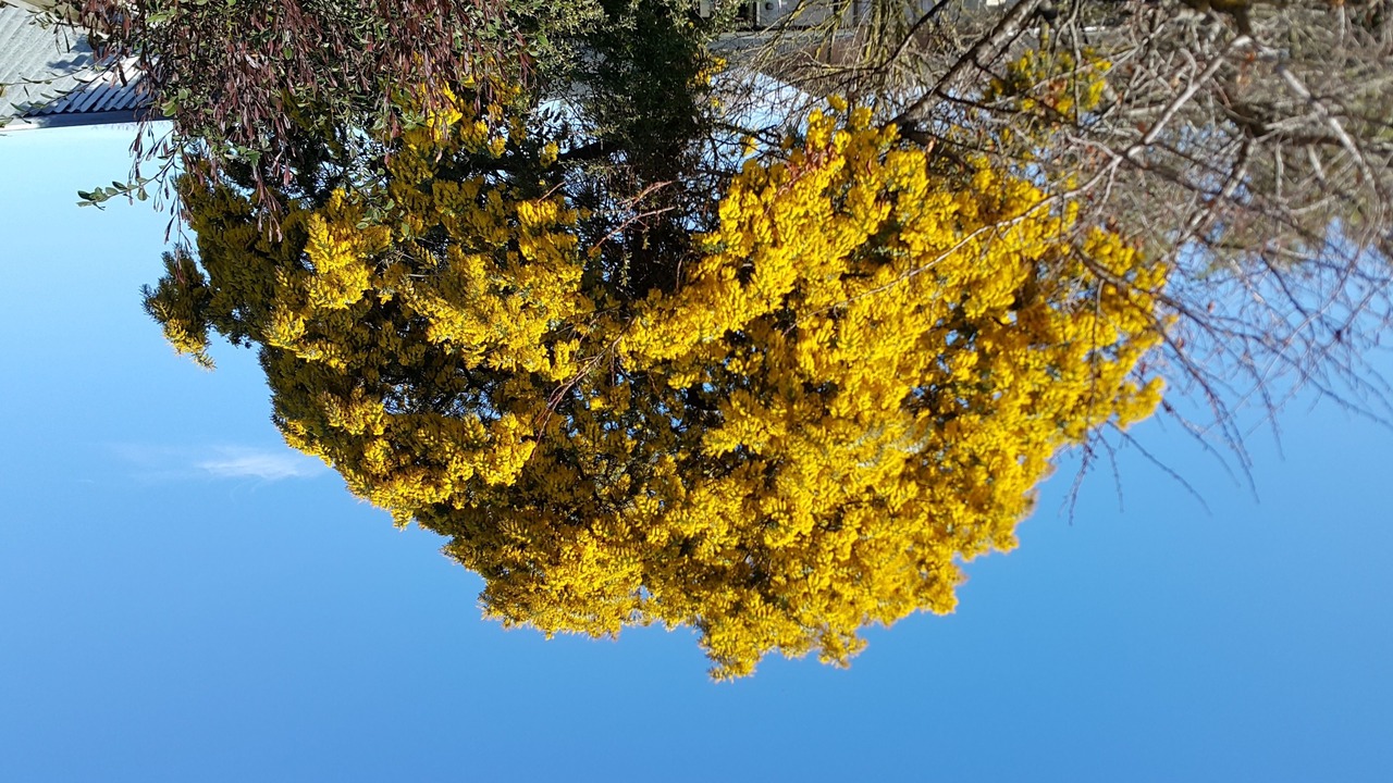 Photo of Outdoor in Rangiora