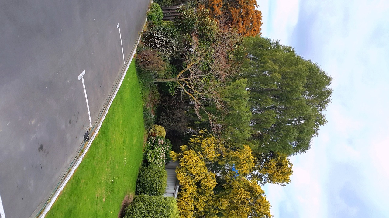 Photo of Others in Rangiora