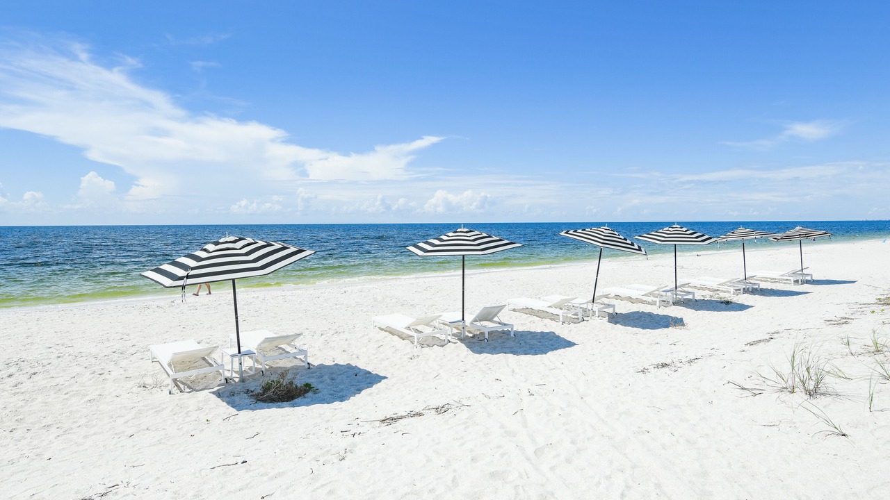 Photo of Others in Nokomis