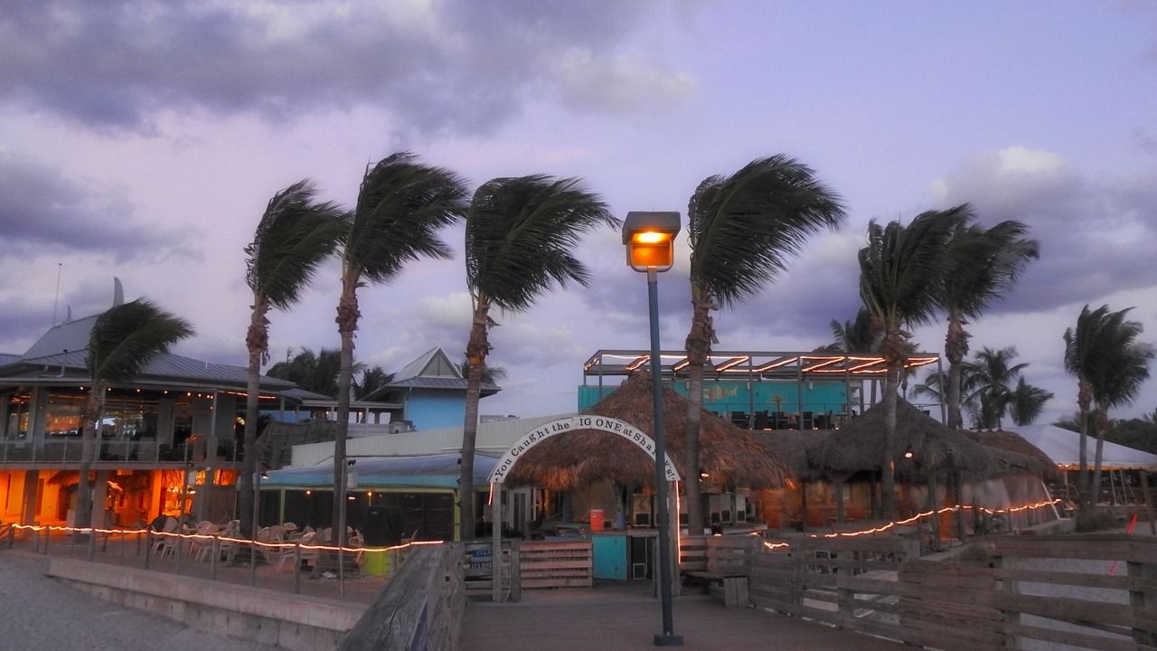Photo of Others in Nokomis