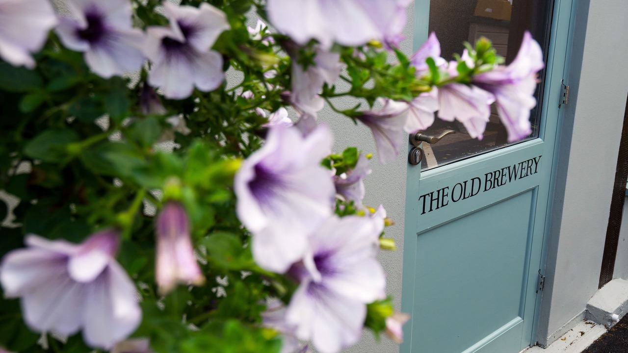 Photo of Outdoor in Topsham