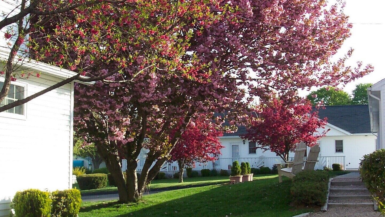 Photo of Outdoor in Mystic - New London