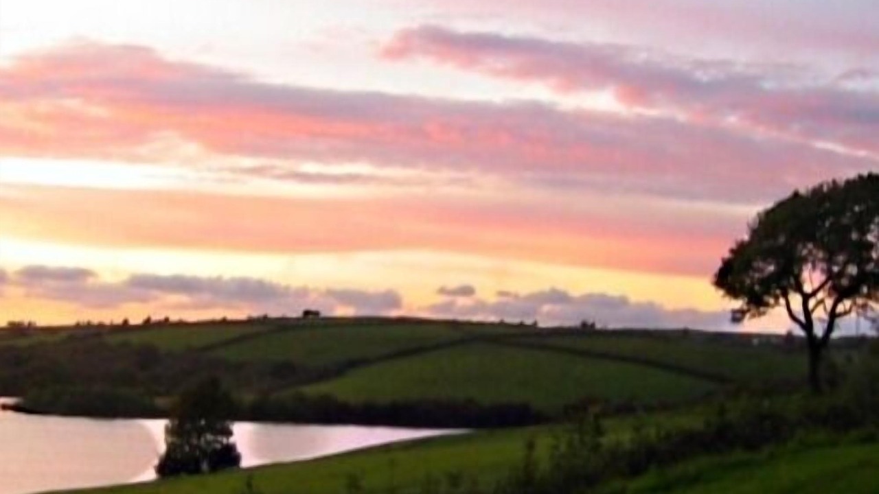 Photo of Others in Llys Y Fran