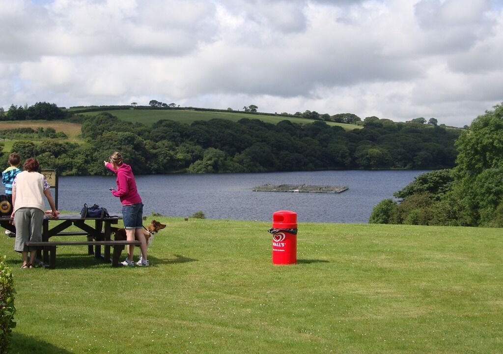 Photo of Others in Llys Y Fran