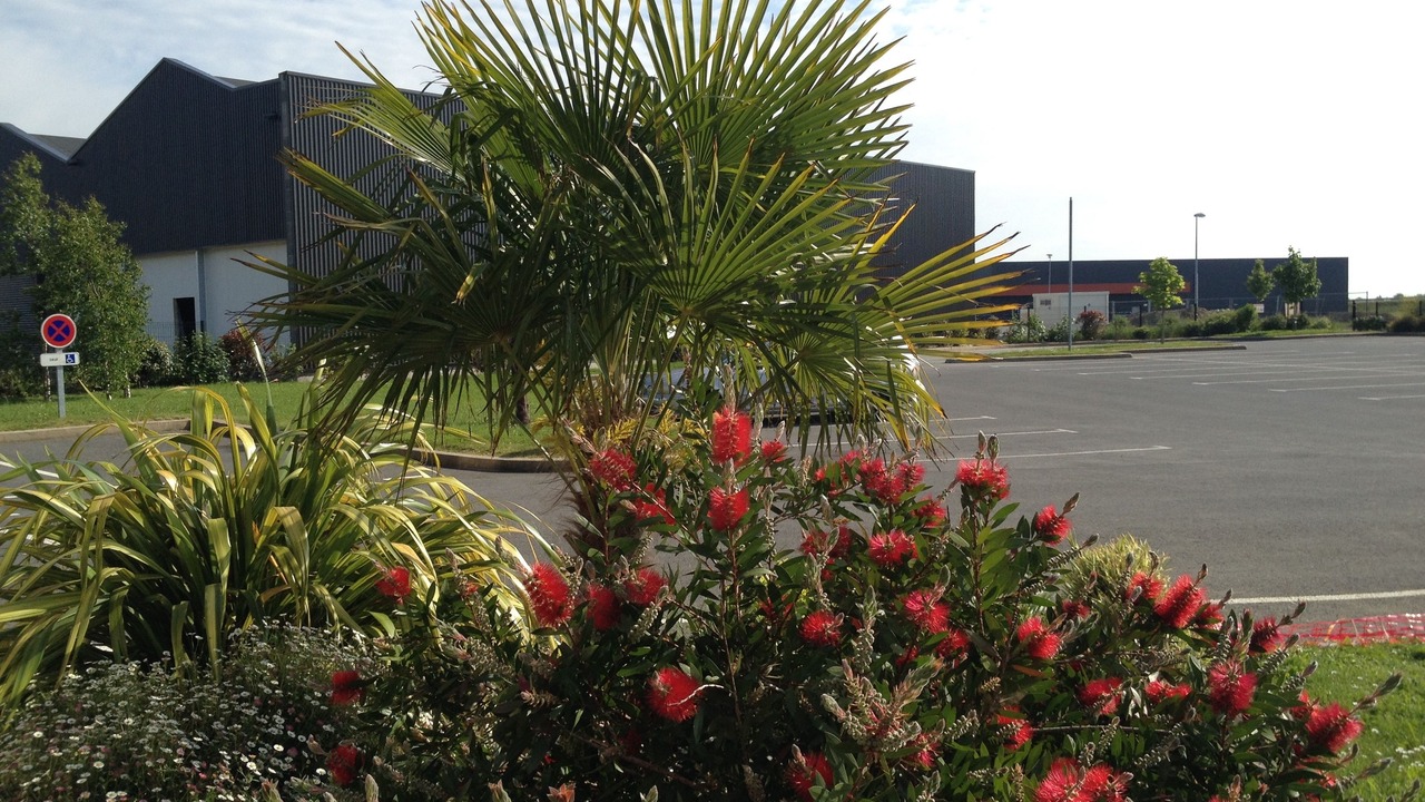 Photo of Others in Dol-de-Bretagne