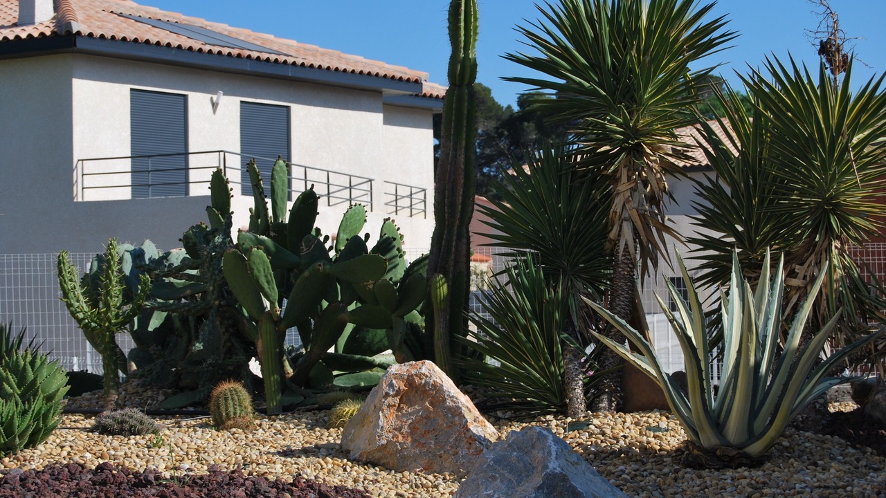 Photo of Outdoor in Perpignan