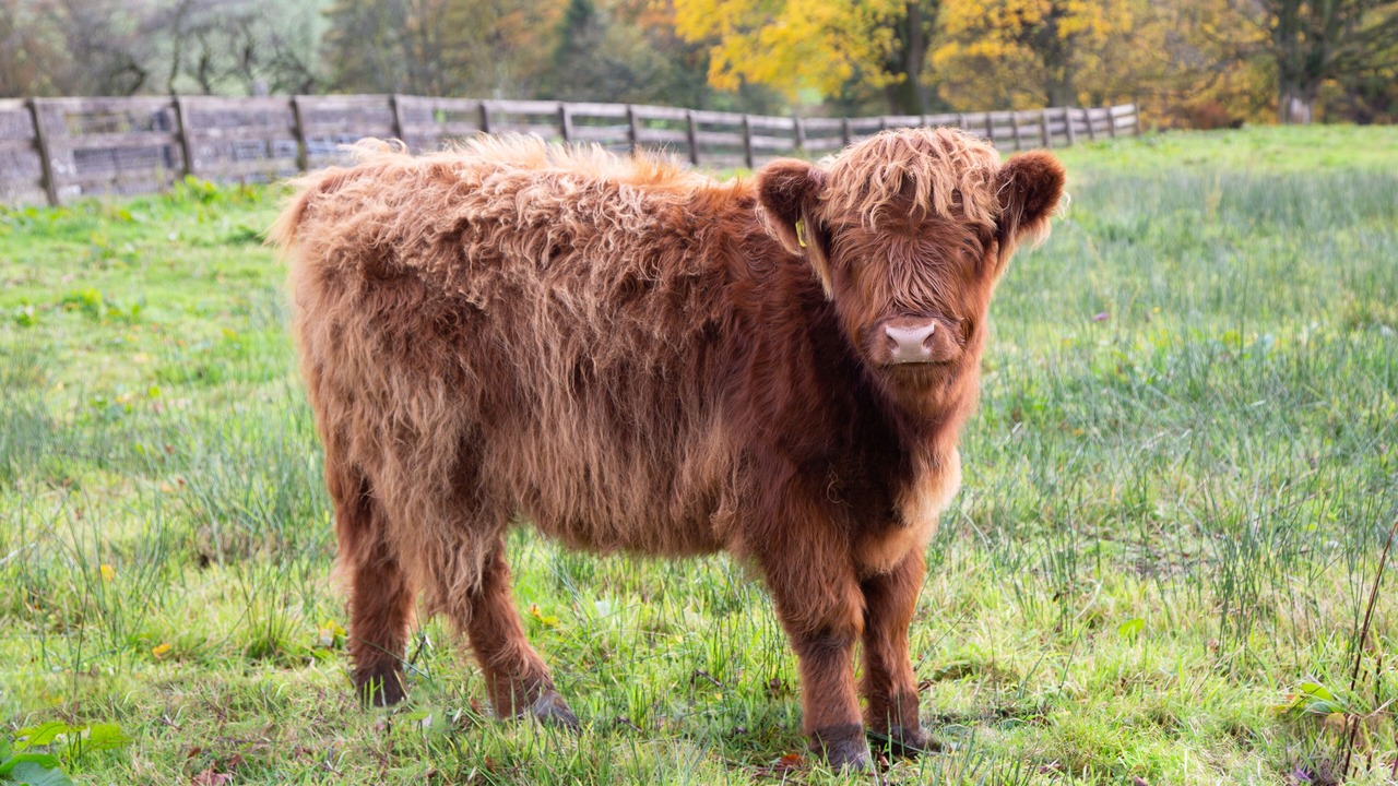 Photo of Outdoor in Dunfermline