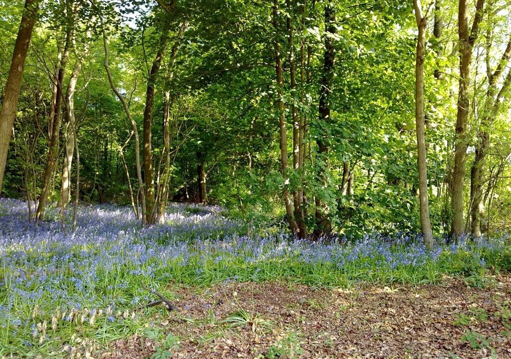 Photo of Others in Bromham