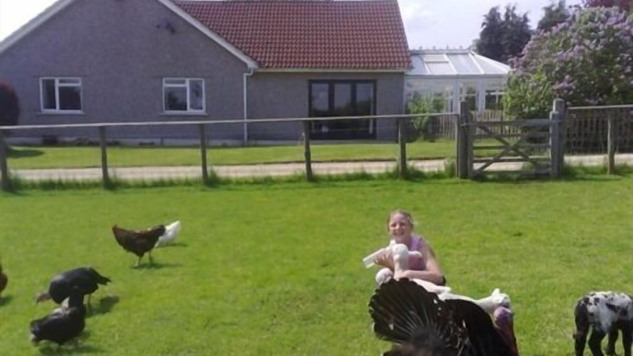 Photo of Outdoor in Bromham