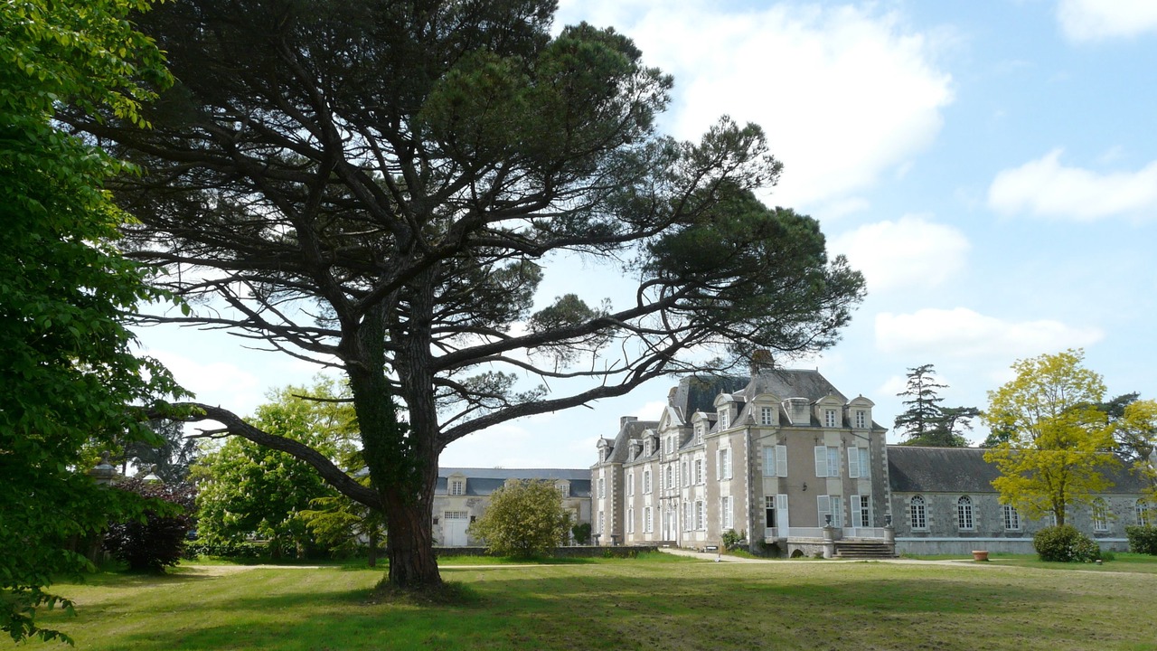 Photo of Outdoor in Ancenis