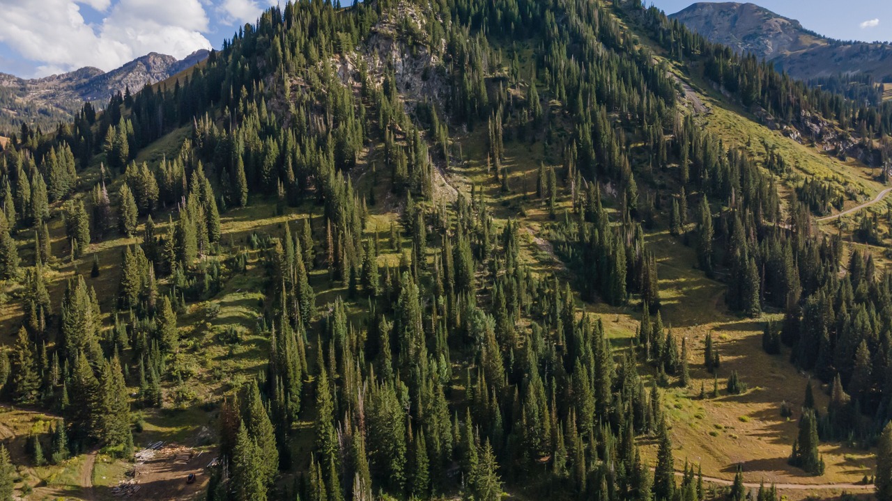 Photo of Others in Salt Lake Mountain Resorts
