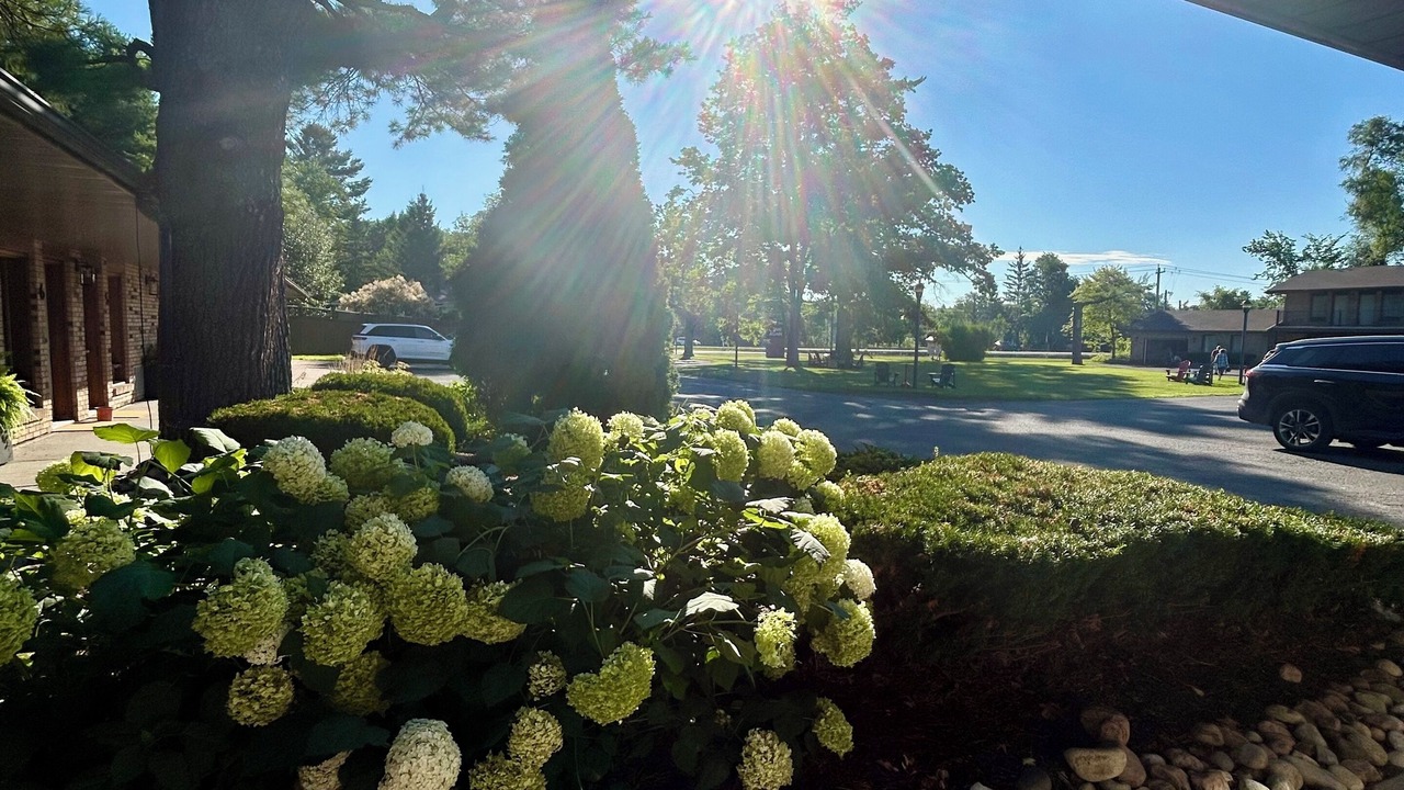 Photo of Outdoor in Ottawa Division